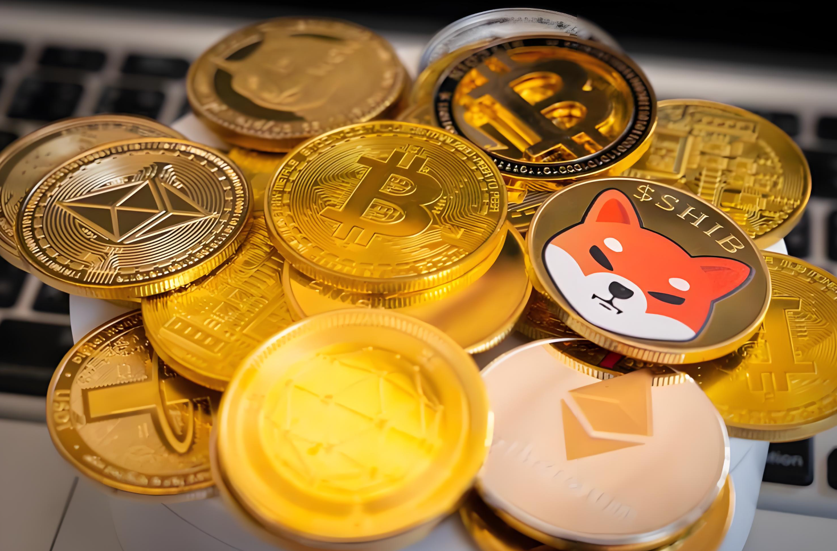 SHIBA INU（柴犬币）.png